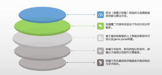 臨床信息整理與分析數(shù)據(jù)服務(wù) 驅(qū)動精準(zhǔn)醫(yī)療與高效研究的關(guān)鍵支撐